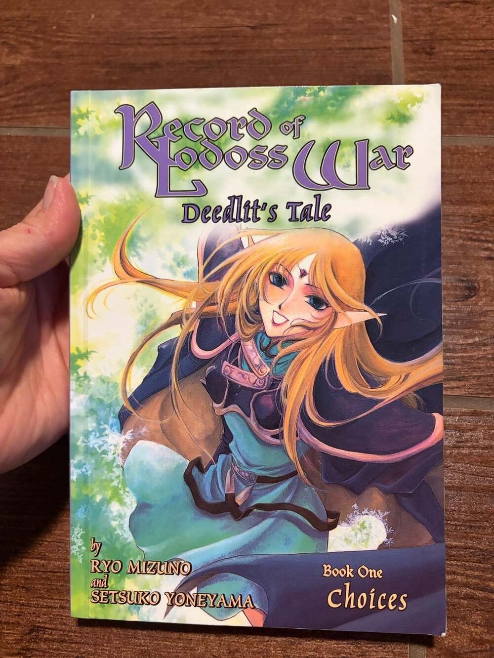Record of Lodoss War Deedlit's Tale Book One Choices Graphic Novel